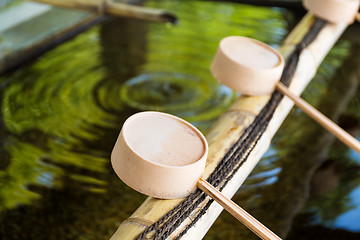 Image showing Traditional bamboo water scoop