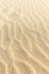 Image showing Sand background