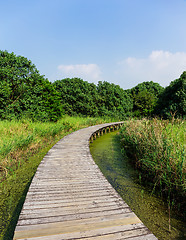 Image showing Boardwalk through wetland