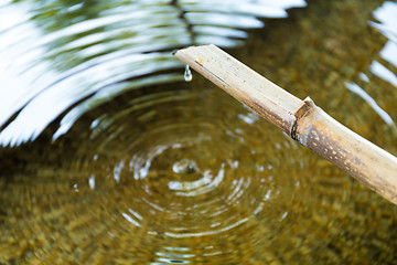 Image showing Purification fountain at a shrine with a bamboo pipe