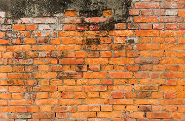 Image showing Brick Wall