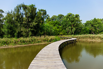 Image showing Forest and lake with wooden path