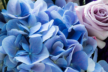 Image showing Hydrangea and rose