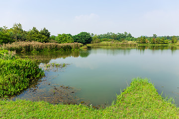 Image showing Fishery wetland