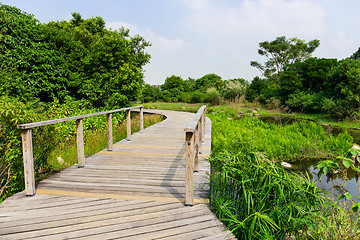 Image showing Footbridge in forest