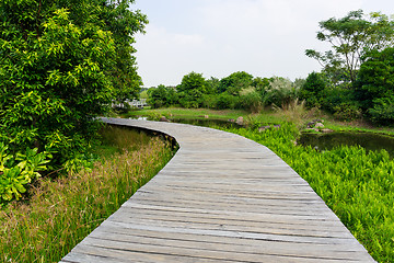 Image showing Wooden bridge in tropical rain forest