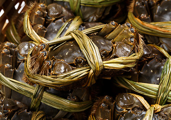 Image showing Hairy crabs