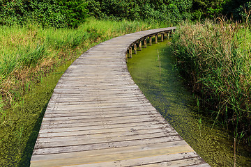 Image showing Footbridge through wetland