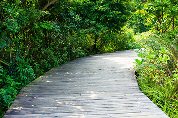 Image showing Wooden walk way 