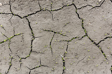 Image showing Cracks on the ground