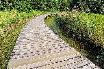 Image showing Wooden Bridge in jungle