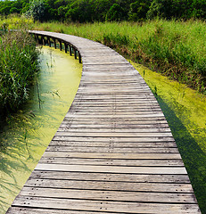 Image showing Wooden walkway in park