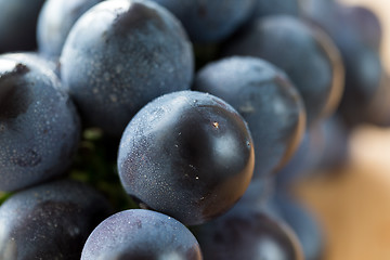 Image showing Kyoho grape