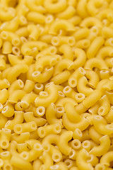 Image showing Macaroni Italian pasta