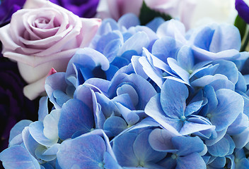 Image showing Hydrangea and rose close up