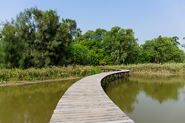 Image showing Wooden walk way
