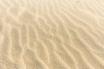 Image showing Sand