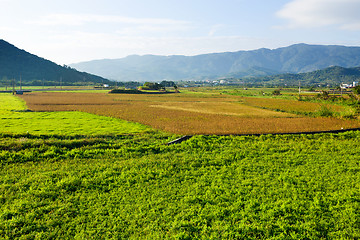 Image showing Farm
