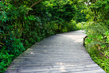 Image showing Walkway in forest