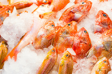 Image showing Red snapper fish in wet market