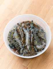 Image showing Fresh shrimp in plastic container