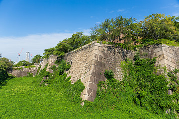 Image showing Green creeper over the castle wall in osaka