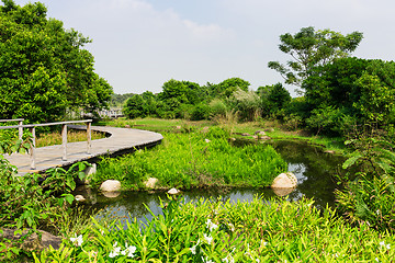 Image showing Natural landscape