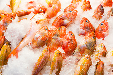 Image showing Fresh fish in wet market