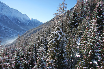 Image showing Chamonix forest mountain