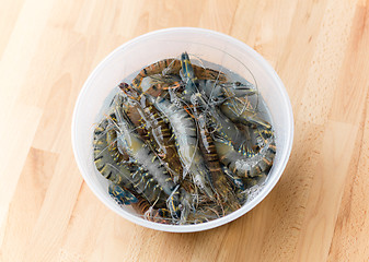 Image showing Fresh prawn in plastic container