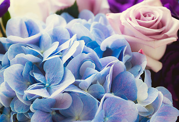 Image showing Blue Hydrangea and purple rose