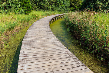 Image showing Walkway through the lake