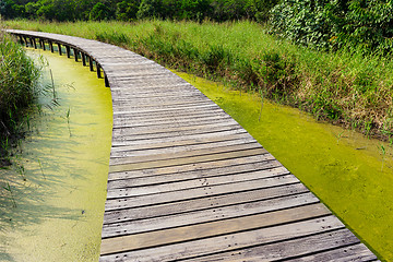 Image showing Wooden bridge in forest