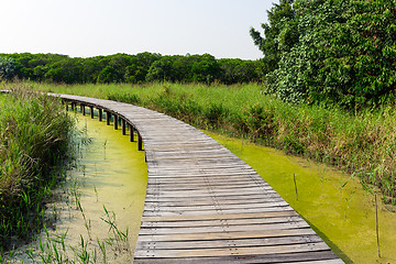 Image showing Walkway in forest