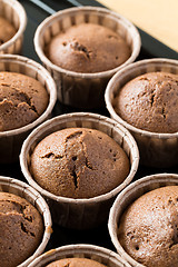 Image showing Chocolate cupcake