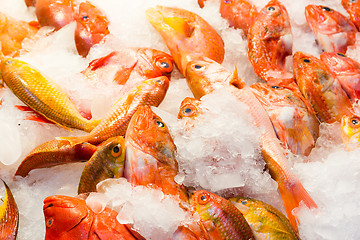 Image showing Fresh fish in market