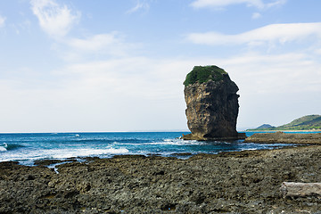 Image showing Coral reef rock cape