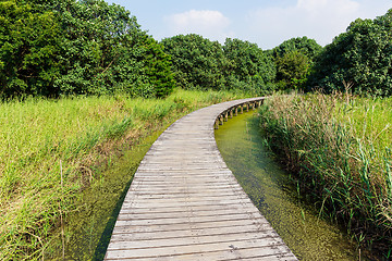 Image showing Wooden pathway