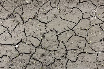 Image showing Soil erosion