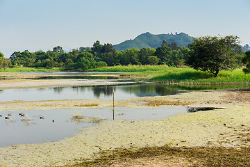 Image showing Fish pond 