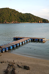 Image showing Tropical docks