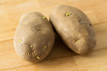 Image showing Potato with sprout