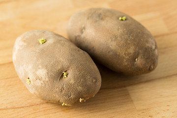 Image showing Potato sprouts on table