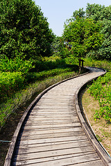 Image showing Wooden pathway though forest