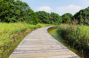 Image showing Wooden footpath in wetland