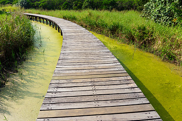 Image showing Boardwalk in forest