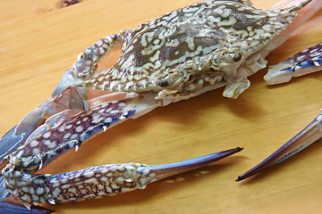 Image showing Fresh crab