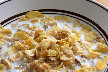 Image showing Corn flakes in milk