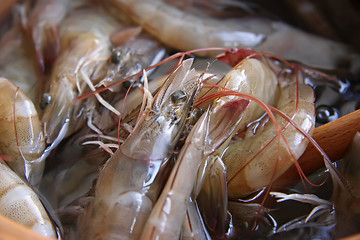 Image showing Whole raw prawns