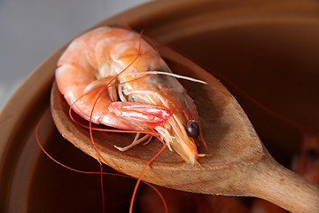 Image showing Whole cooked prawns